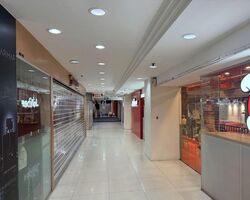 Lucky Plaza (D9), Shop House #573461971